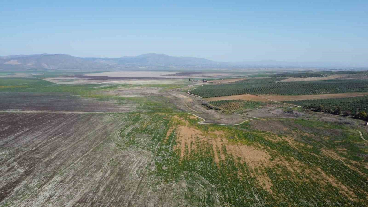 Marmara Gölü yeniden canlanıyor! Manisa'da kurumuştu
