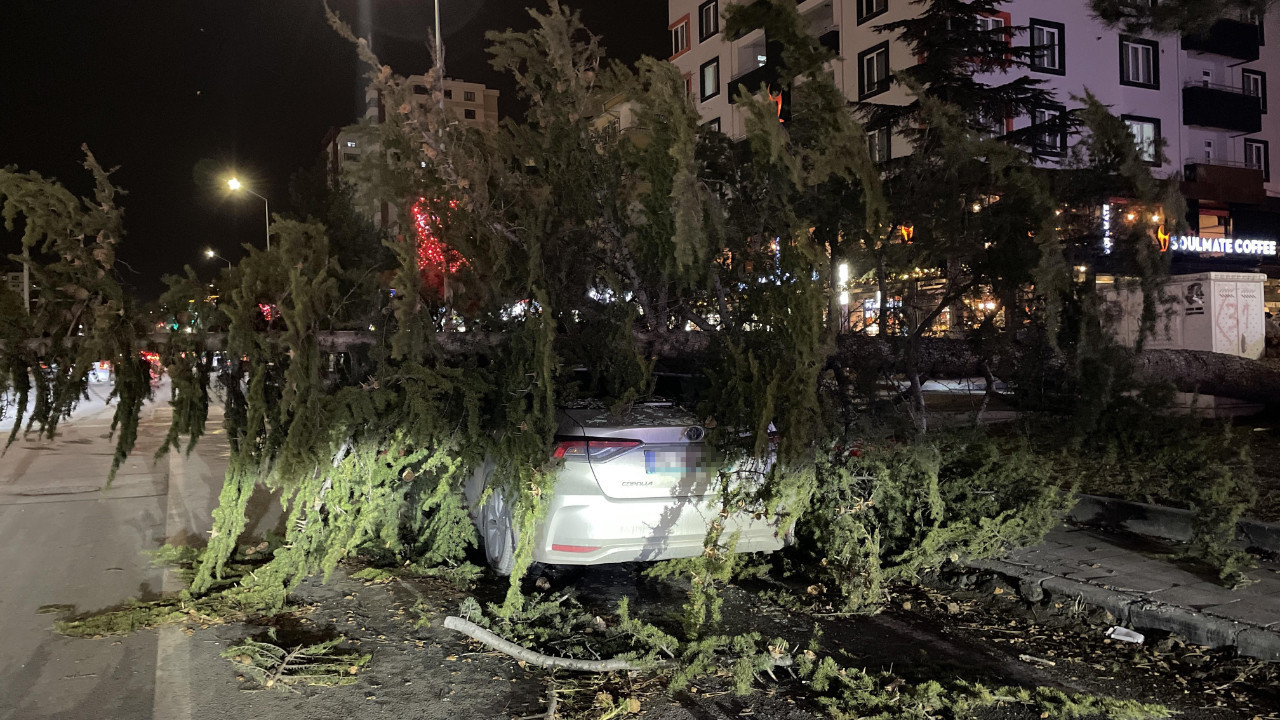 Otomobilin üzerine ağaç devrildi! Kayseri'deki fırtınada meydana geldi