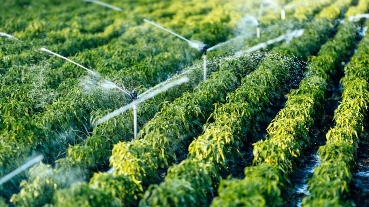 Sulama ücretlerine yüzde 30 zam geliyor