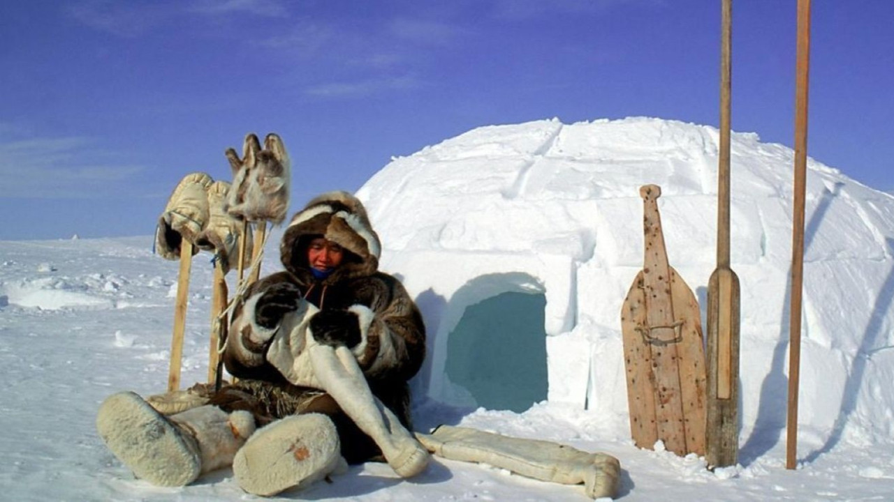 ABD'nin Grönland'ı rüşvetle içten ele geçirme planı: Al parayı sat adayı!