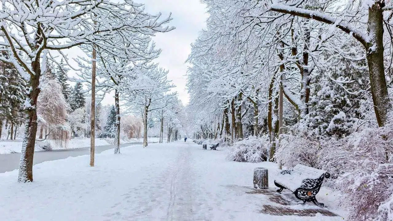 Meteoroloji'den açıklama: 55 ile lapa lapa kar yağacak!