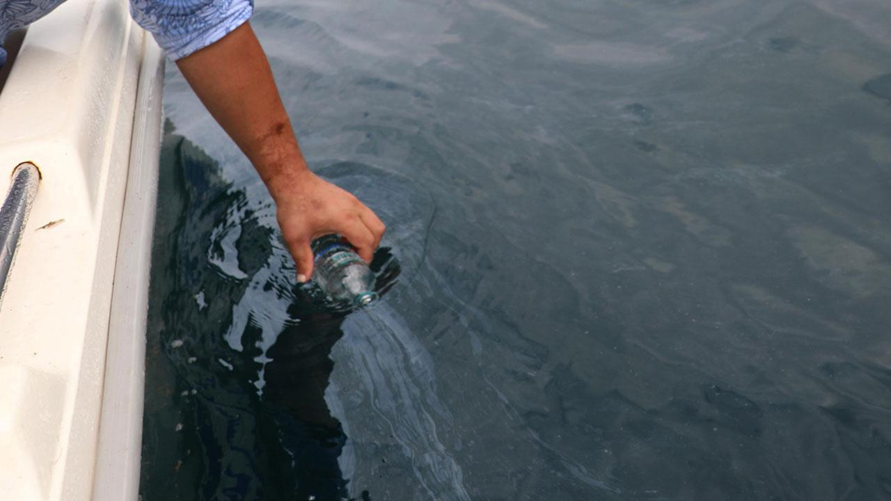 Çayeli açıklarında petrol emareleri var! AK Parti’li Dönmez açıkladı