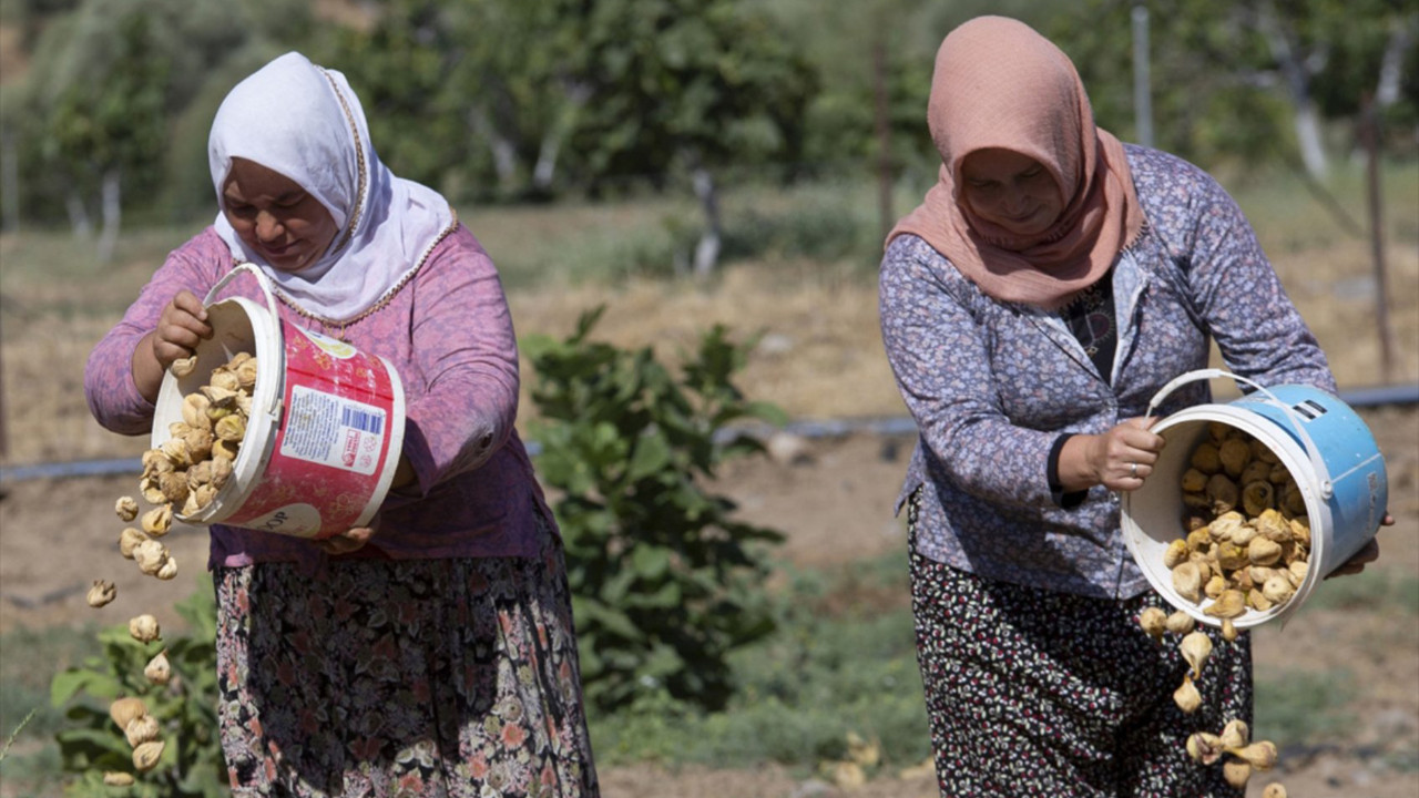 Vatan Partisi Çiftçi Bürosu Başkanı Cenk Özdemir: Çiftçiye kredi vermemek ‘bu işi bırak’ demek