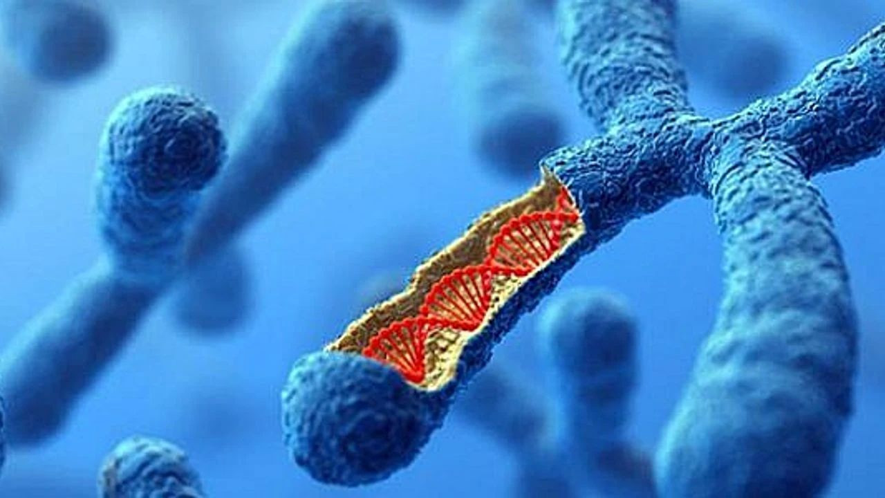 Türk bilim insanları daha önce tanımlanmamış bir genetik değişiklik keşfetti.