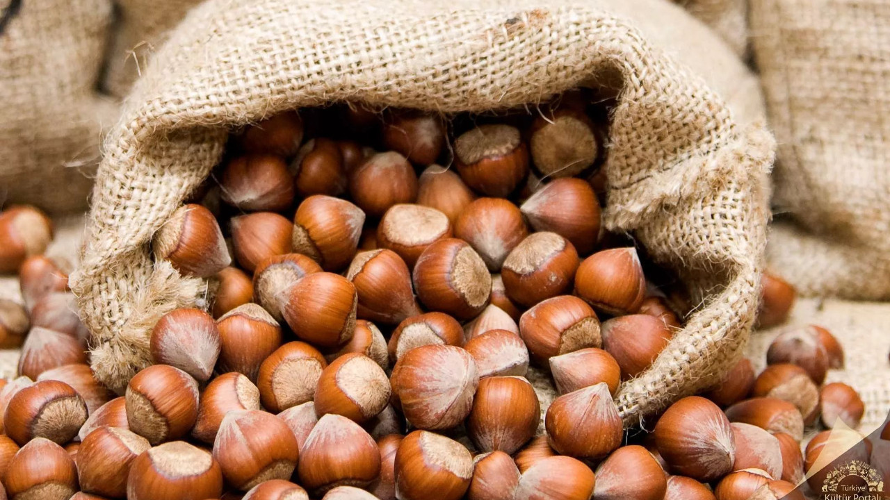 Türk fındığı 2025'te 122 ülkeye ihraç edildi