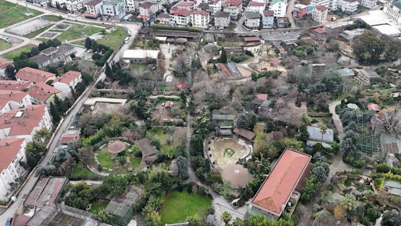 Türkiye'nin 33 yıllık ünlü hayvanat bahçesi tarihe karıştı