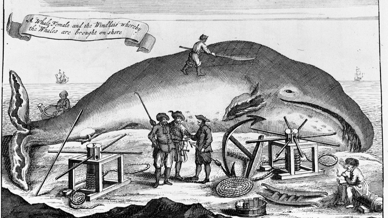 Yeni kaynakları kapışmak için güç kavgası – 2 Grönland