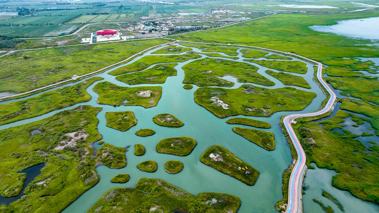 Kurak çöller yeşilleniyor