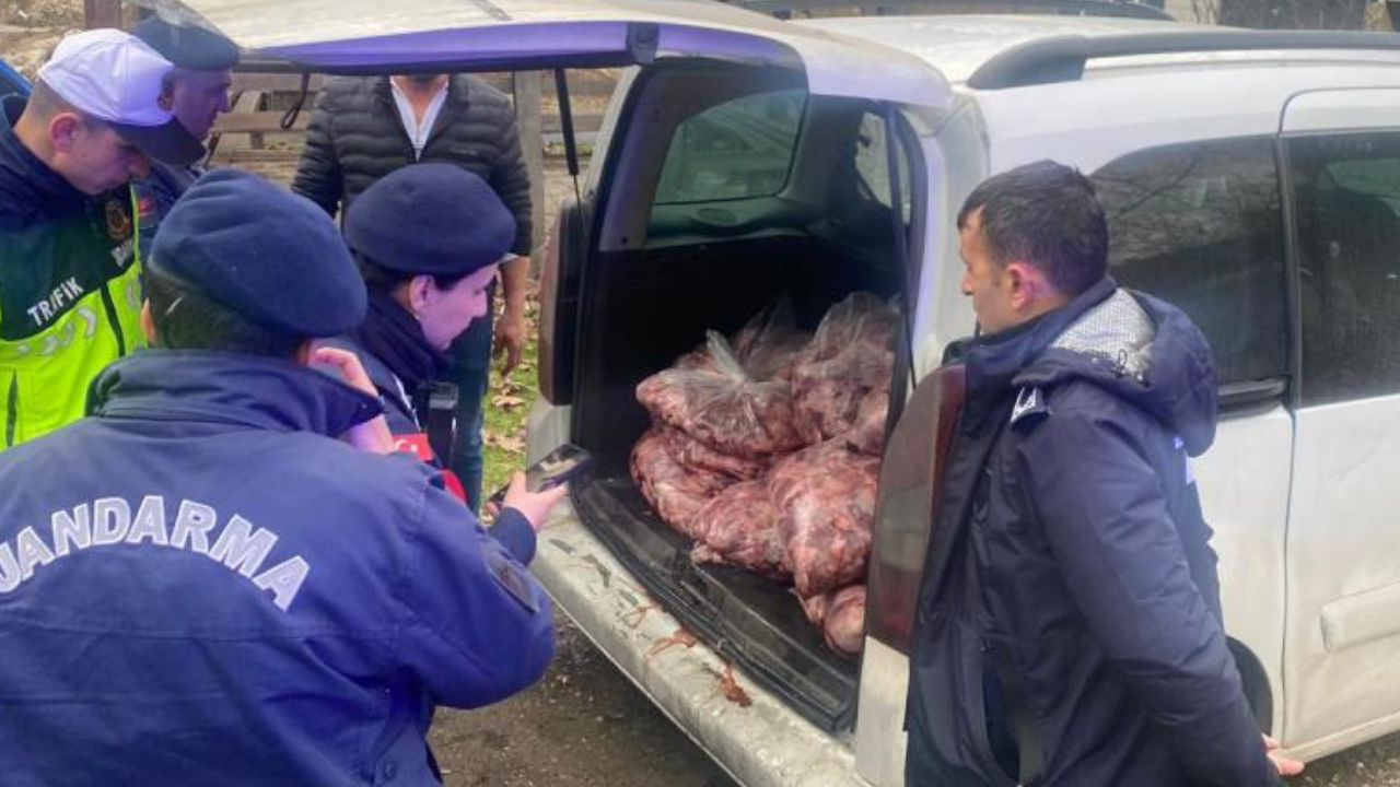 Zonguldak'ta 450 kilogram bozuk et ele geçirildi