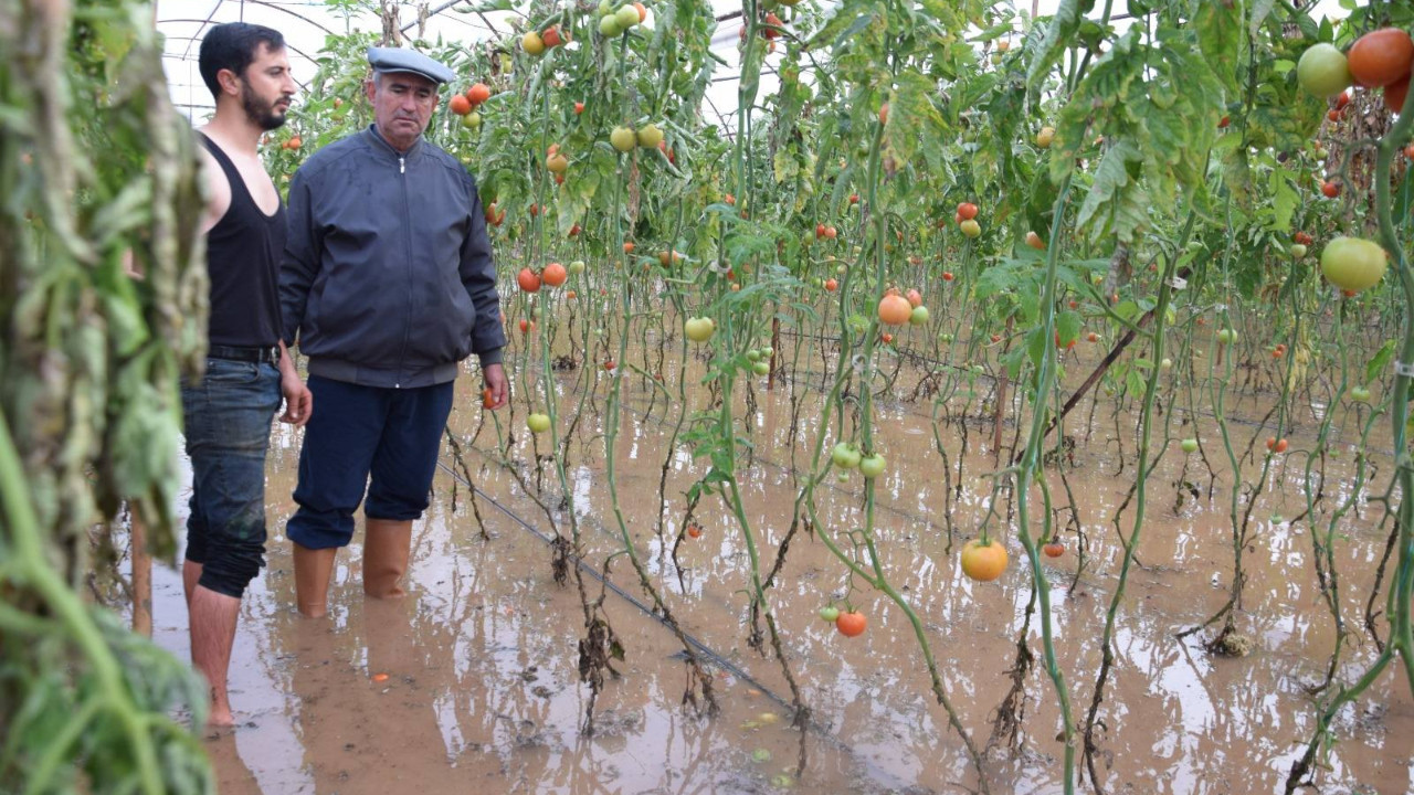 4 bin dönüm sera alanı ve işçi evleri kullanılamaz halde! Üleşik Deresi ıslah edilsin