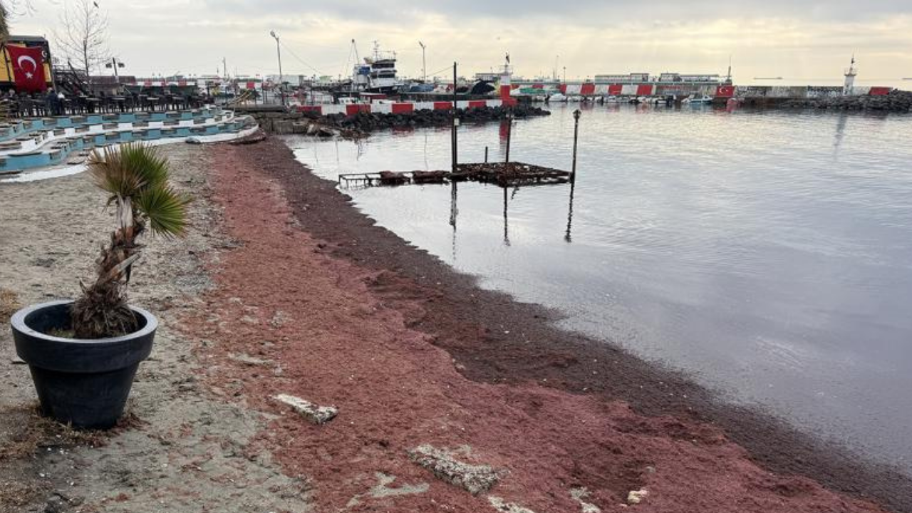 Tekirdağ'da sahil kırmızıya büründü