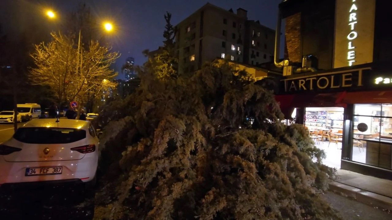 İstanbul’da fırıtna etkili oldu: Bina cephesi koptu, ağaçlar devrildi