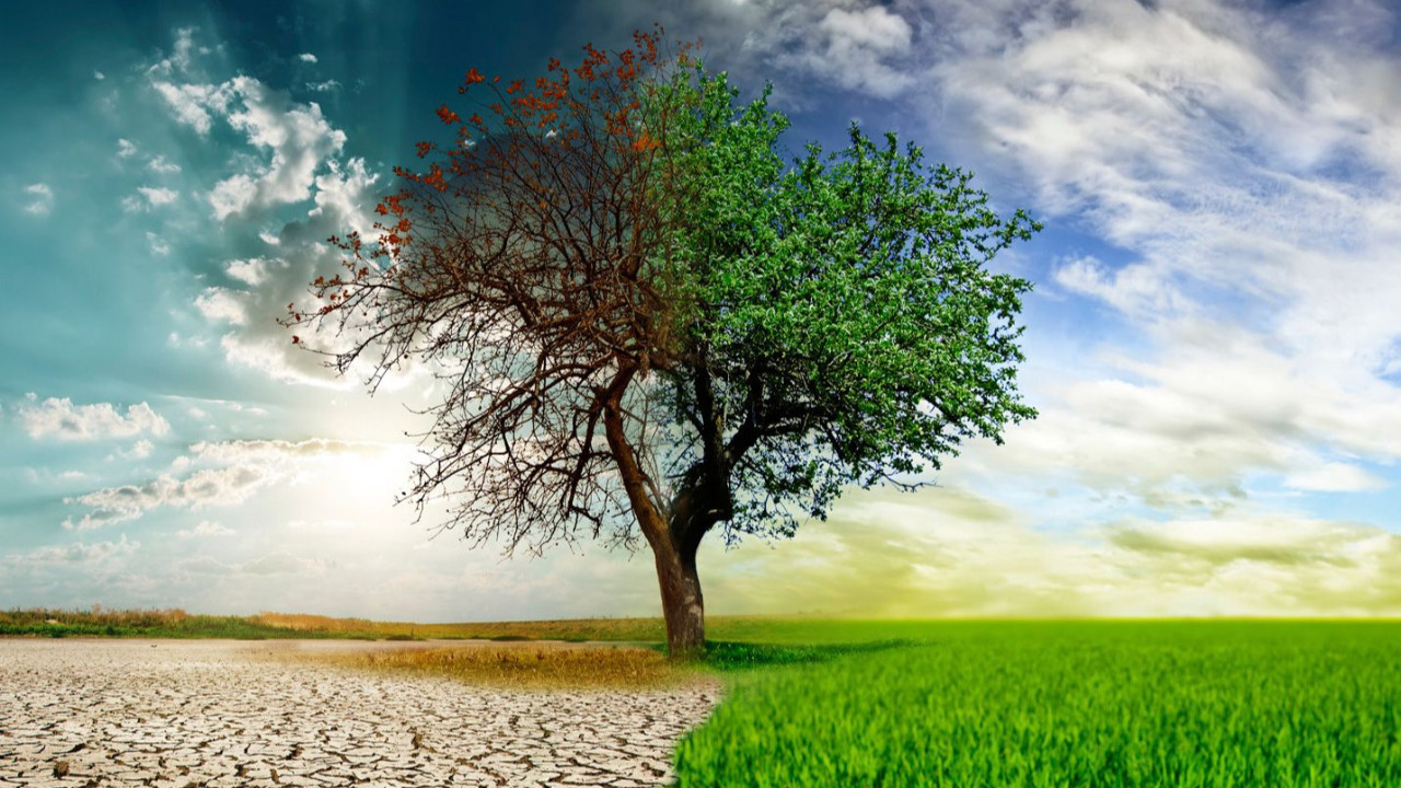 ‘Çevrebilim’ diye bir bilim dalı yok