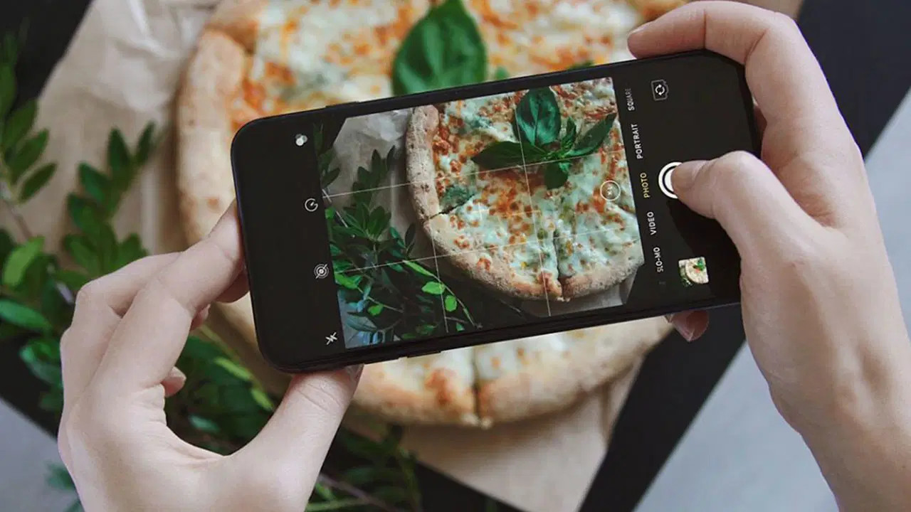 Meserret Taşkın’dan mektup var! Görgülü kuşlar…