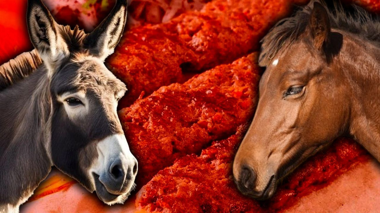 Tarım bakanlığı ifşa etti! Bu markalar vatandaşa at ve eşek eti yedirmiş