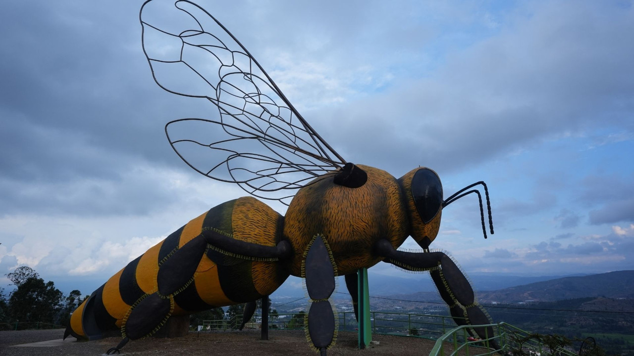 Latin Amerika’dan çıkan dev proje Guinness radarında