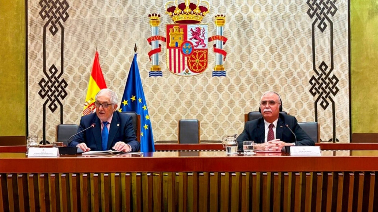 AYM Başkanı Özkaya: 'İhlal kararları emsal davalarda uygulanmalı'