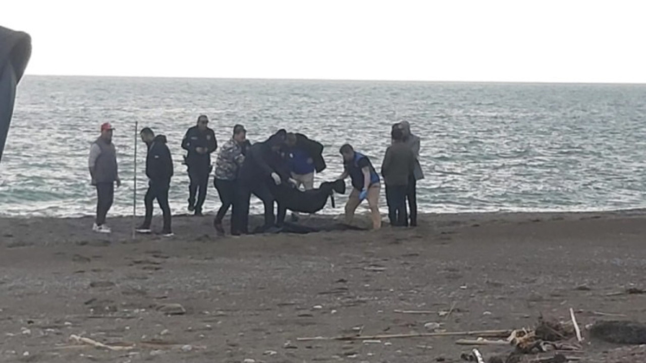 Muğla’da sahilde erkek cesedi bulundu