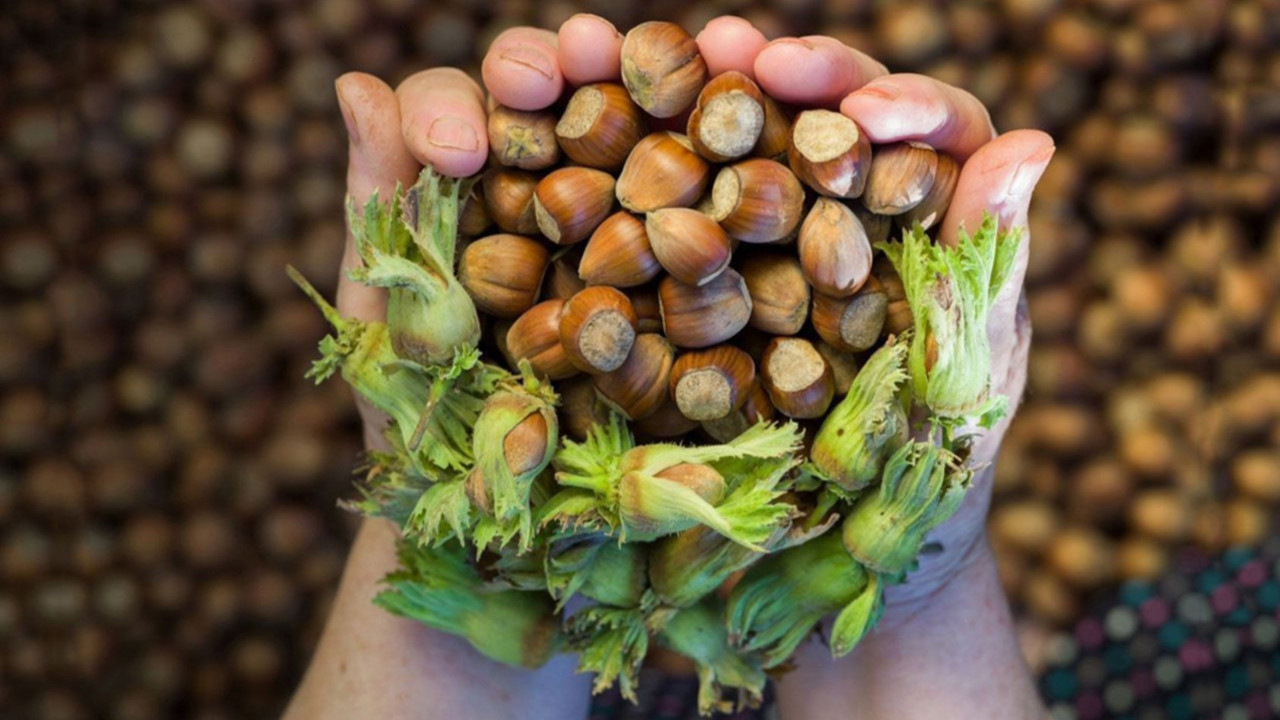 Ferrero’nun oyununu TMO bozar