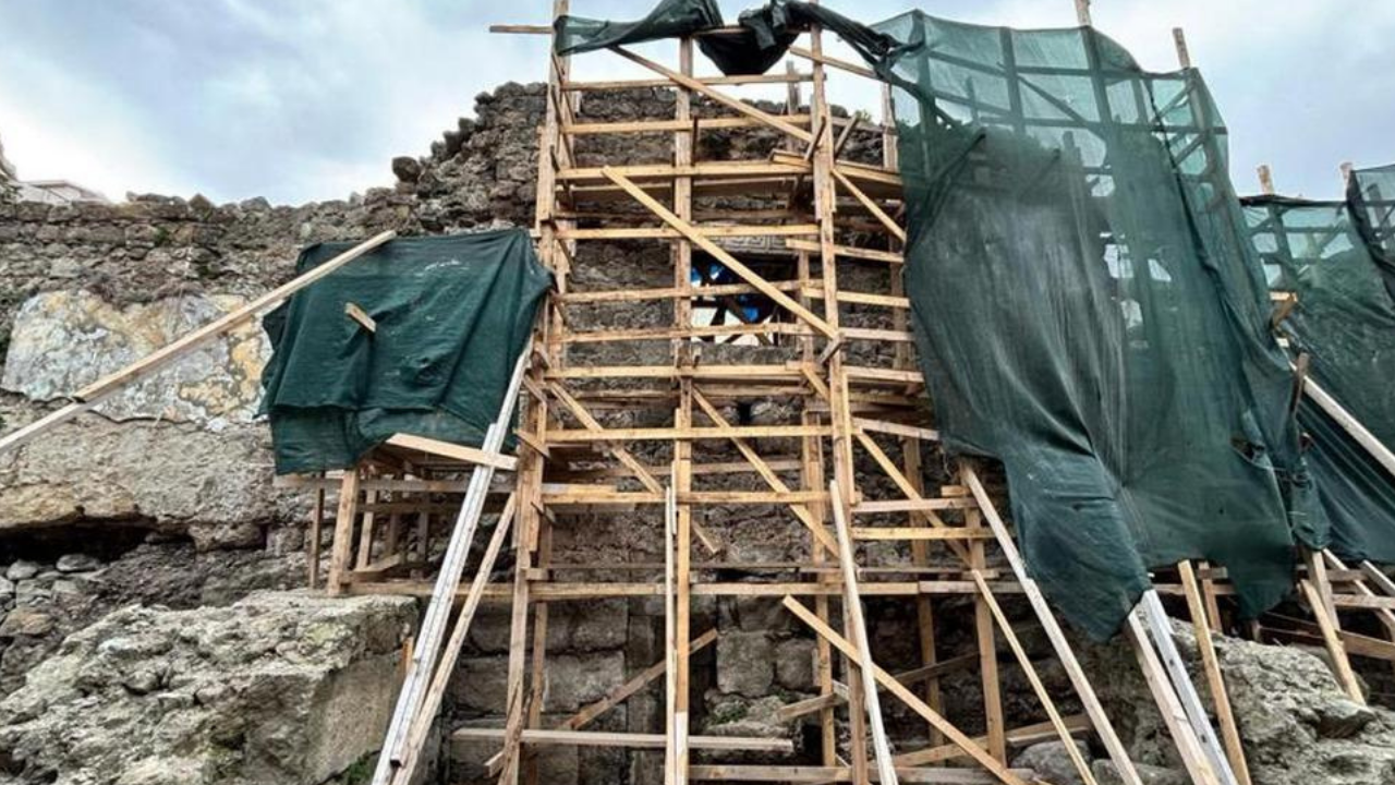 Trabzon'da bulundu! Dünyada sadece üç tane var
