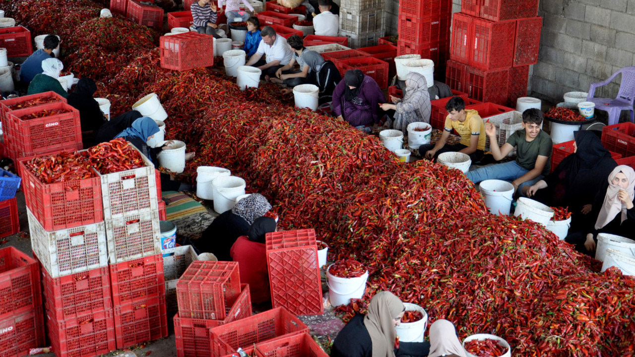 Gaziantep’ten 60 ülkeye gönderiliyor! 5 milyon dolarlık ihracat yapıldı