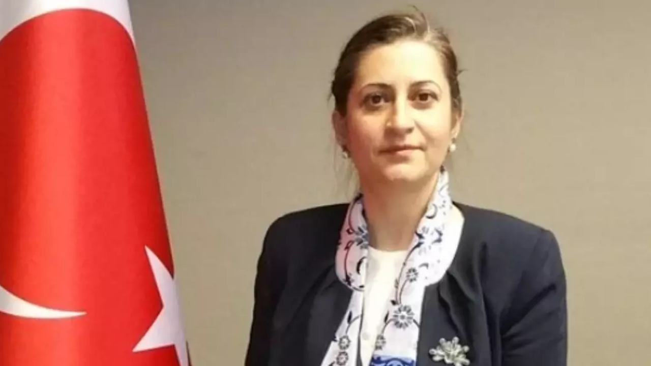 Yeni Senegal Büyükelçisi Dilşad Kırbaşlı Karaoğlu kimdir? Dilşad Kırbaşlı Karaoğlu kaç yaşında?