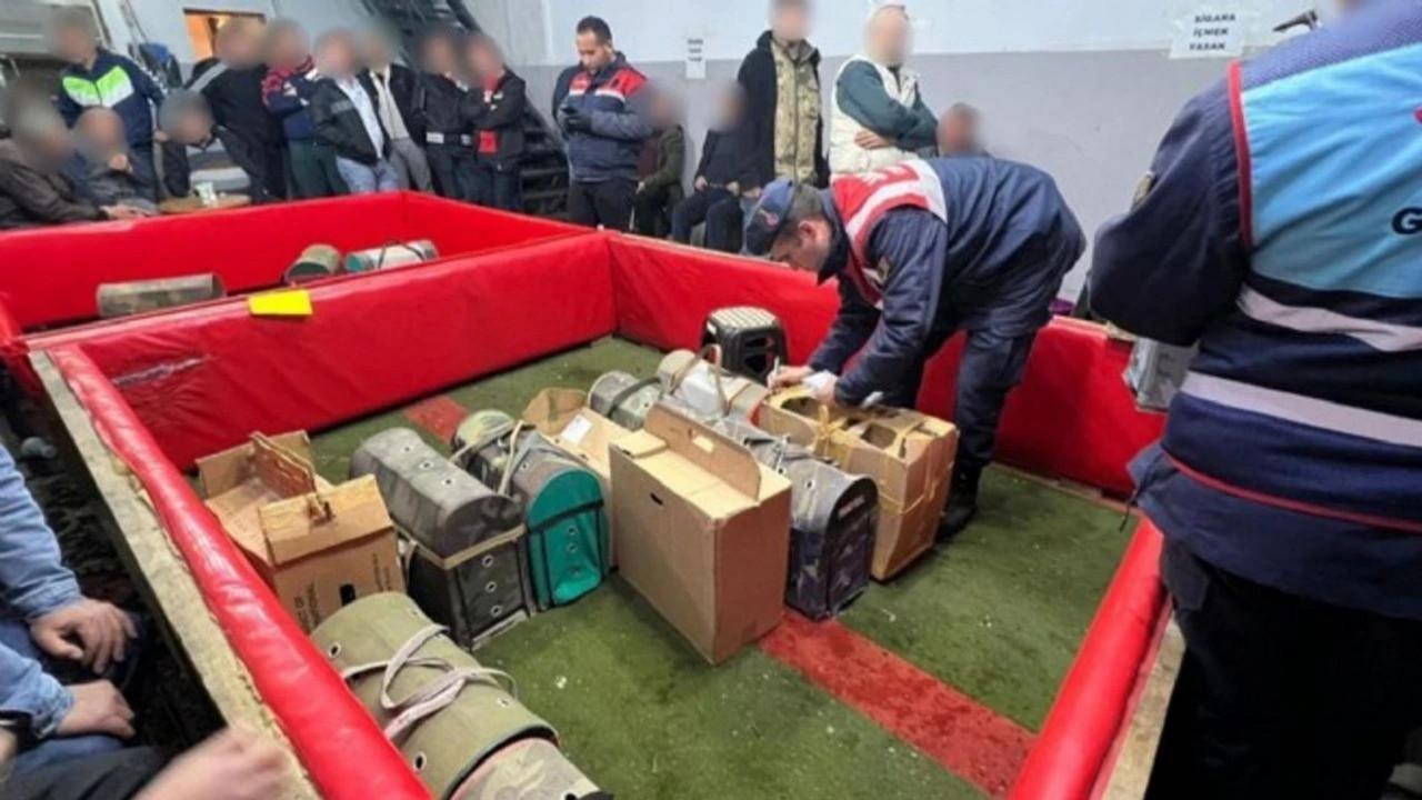 Kanatlı Hayvanları Koruma Derneği’nde horoz dövüşüne rekor ceza: Rakam dudak uçuklattı