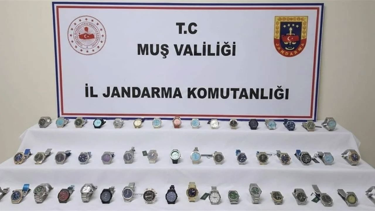 Muş'ta ele geçirildi! Piyasa değeri 3 milyon TL