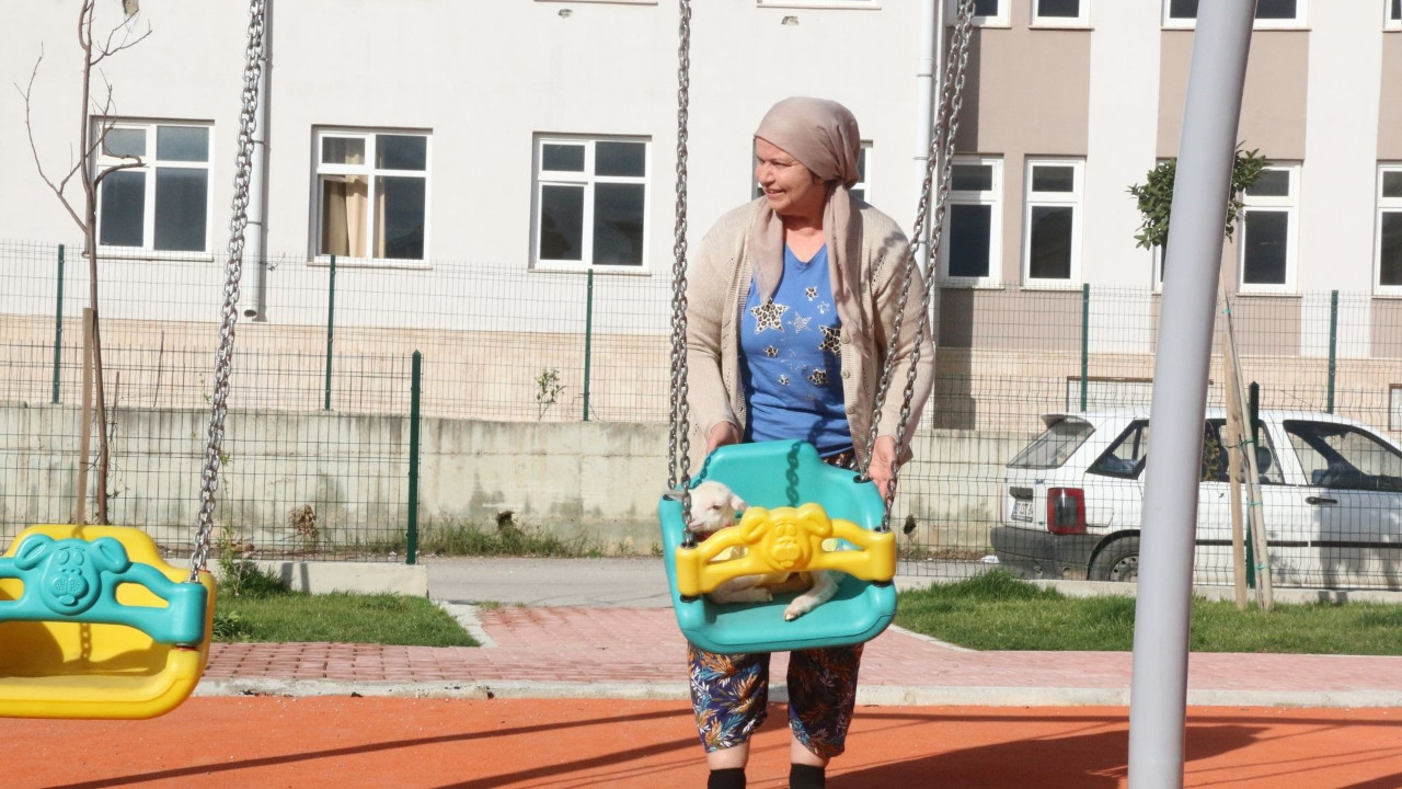 Salıncakta sallanan kuzu görenleri şaşırtıyor: ‘Naciye’ artık mahallelinin gözdesi