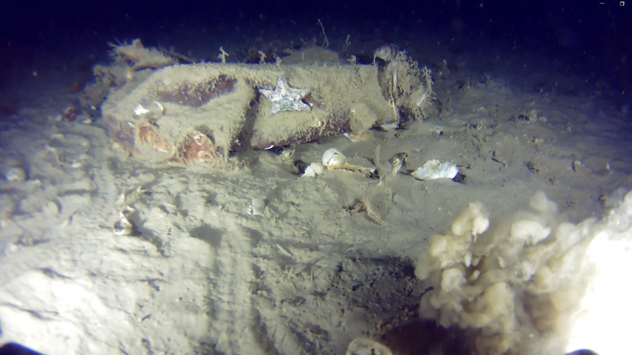 51 yıl önce düşmüştü! THY'nin enkazında yeni parçalar