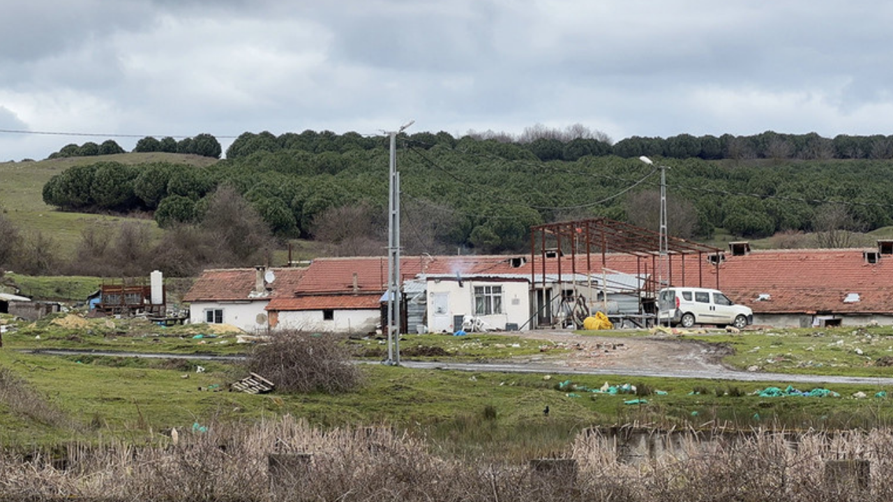 İstanbul'da kan gövdeyi götürdü! İşçisinin boynunu kesti