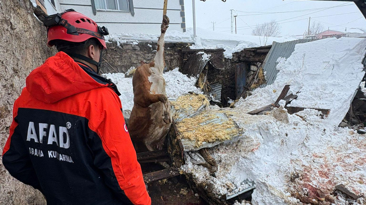 Kars'ta çatısında kar biriken 2 ahır çöktü