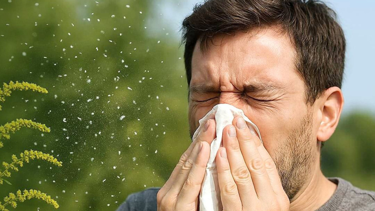 Doğru tedaviyle polen alerjisi kâbusunuz olmasın