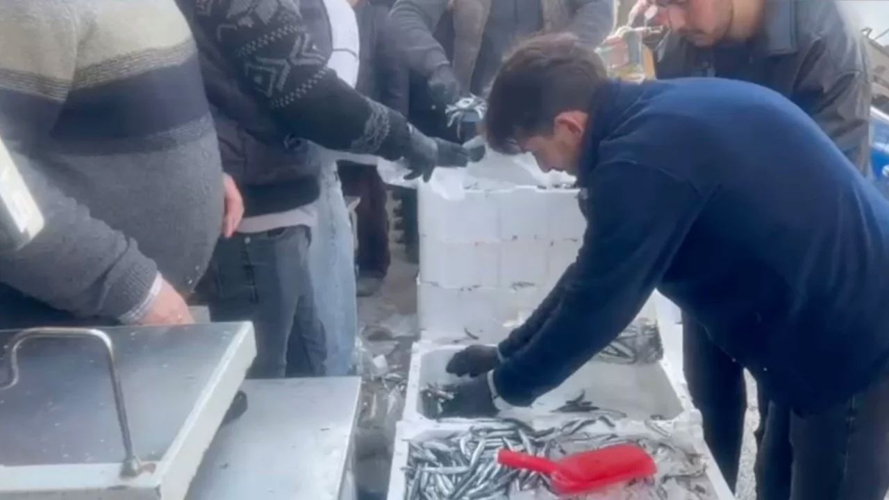 Çorum'da ücretsiz dağıtıldı! Tam 100 kasa