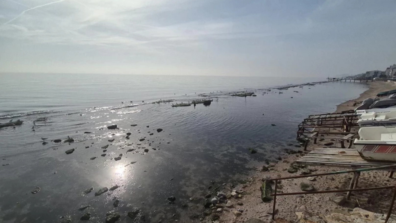 Marmara'da korkutan görüntü! Deniz bu hale geldi