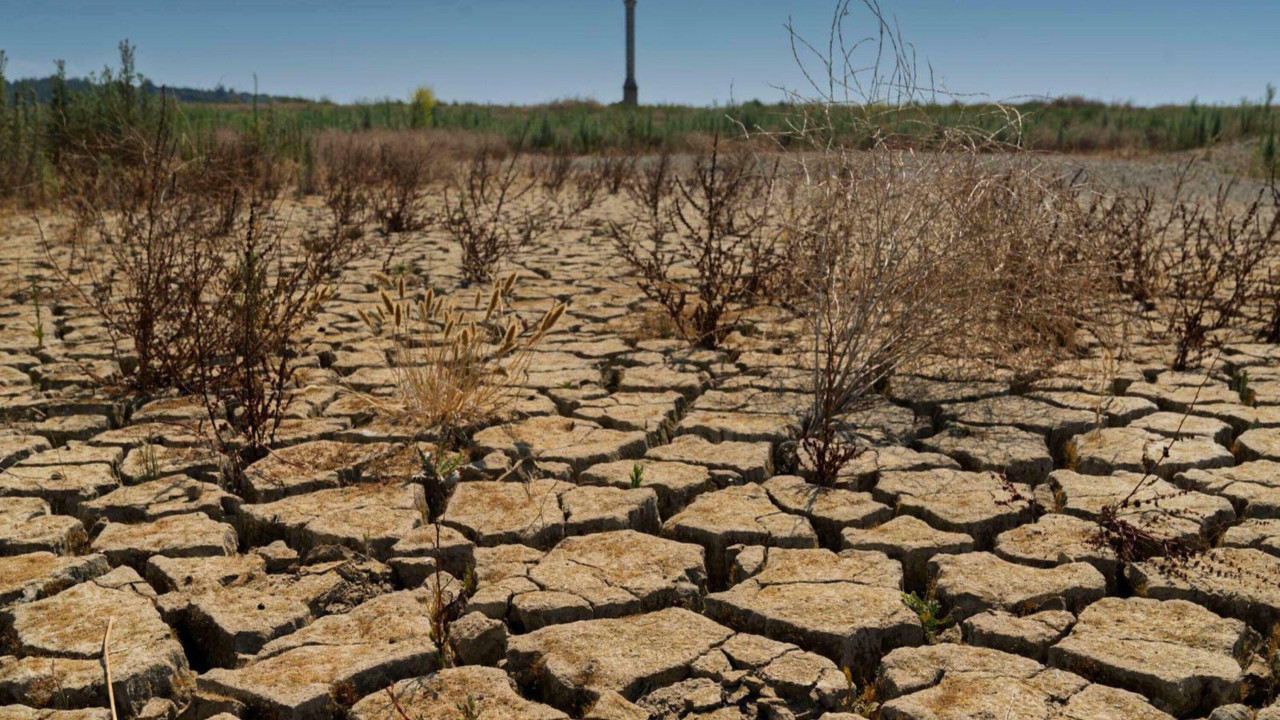 Prof. Dr. Türkeş: Türkiye’de kronik kuraklık devam ediyor