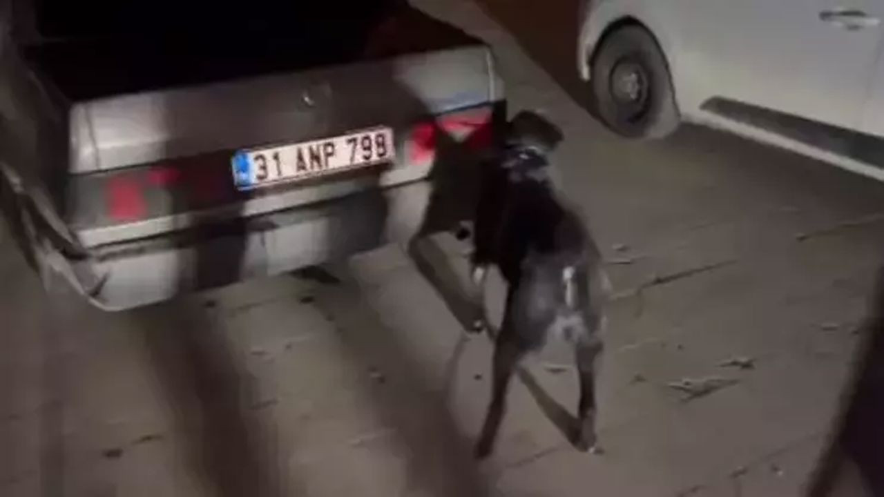 Hatay'da uyuşturucu operasyonu: 3 tutuklama