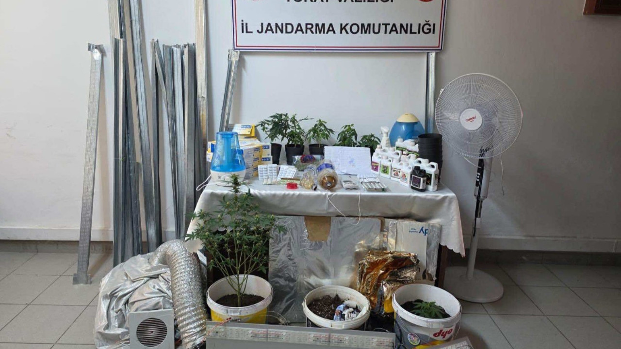 Tokat'ta evdeki kenevir serasına jandarma baskını