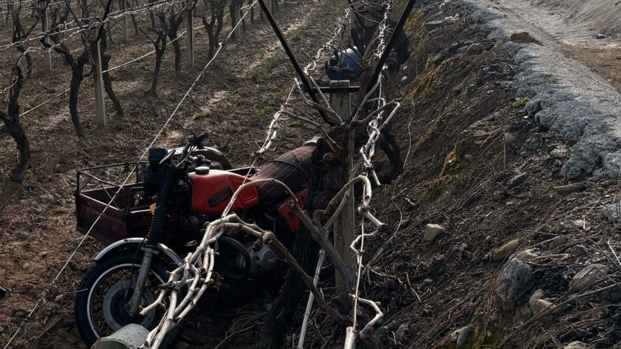 Manisa'da sepetli motosiklet üzüm bağına devrildi