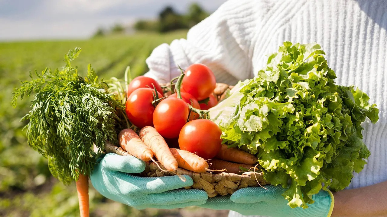 Sebze azaldı, fiyatlar arttı