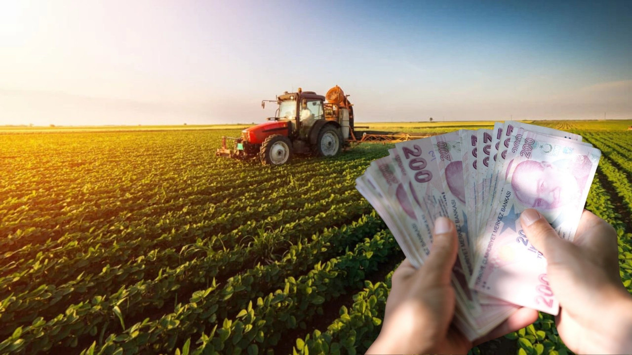 Tarımda maliyet artışı hız kesmiyor! TÜİK verileri açıkladı