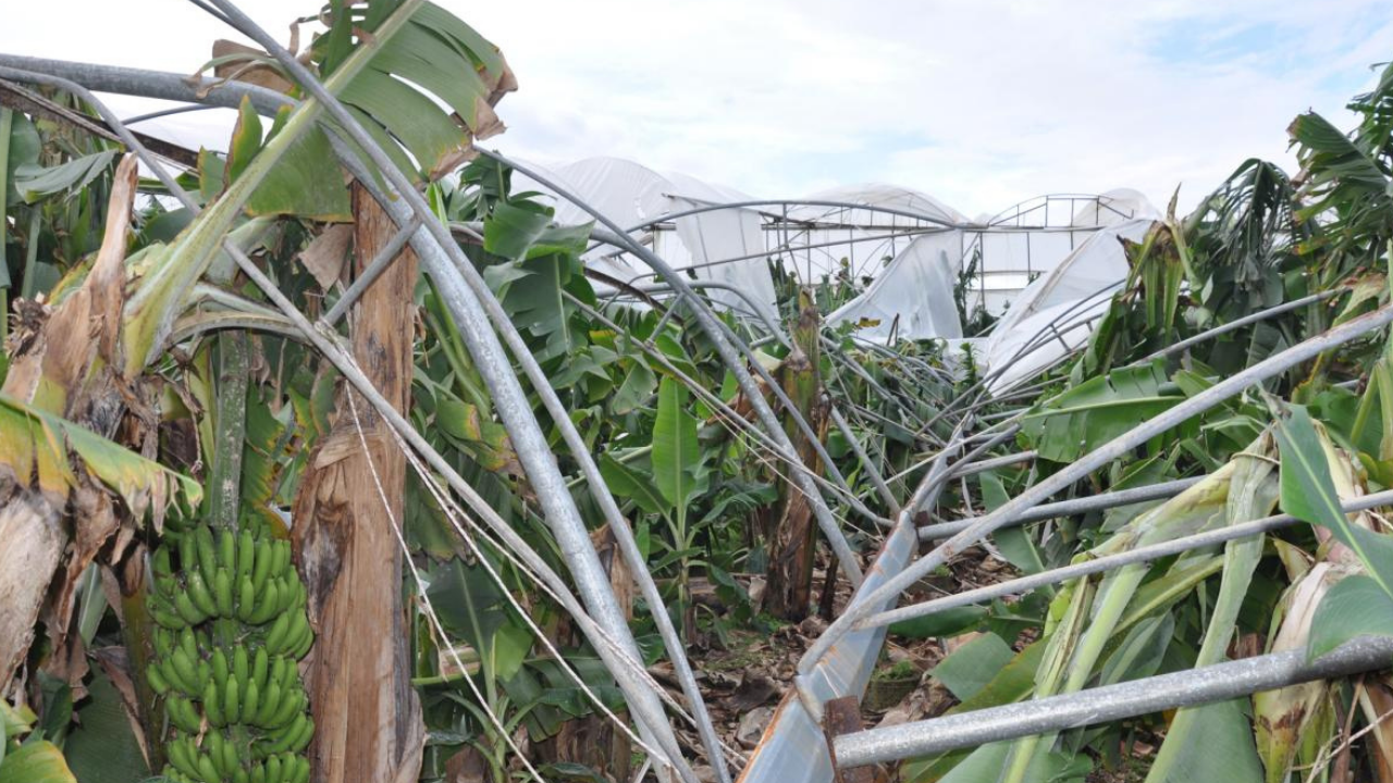 Mersin'de 150 dönüm serayı dolu ve fırtına vurdu