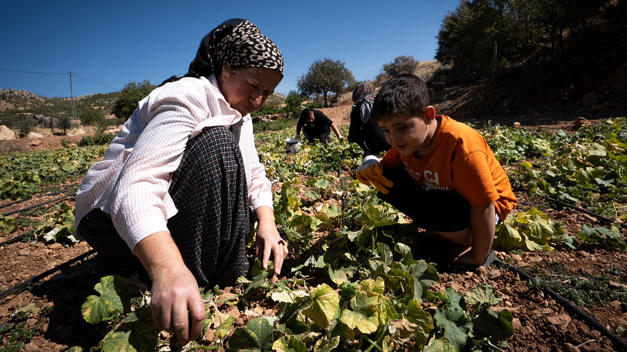 Gıda krizi kapıda!