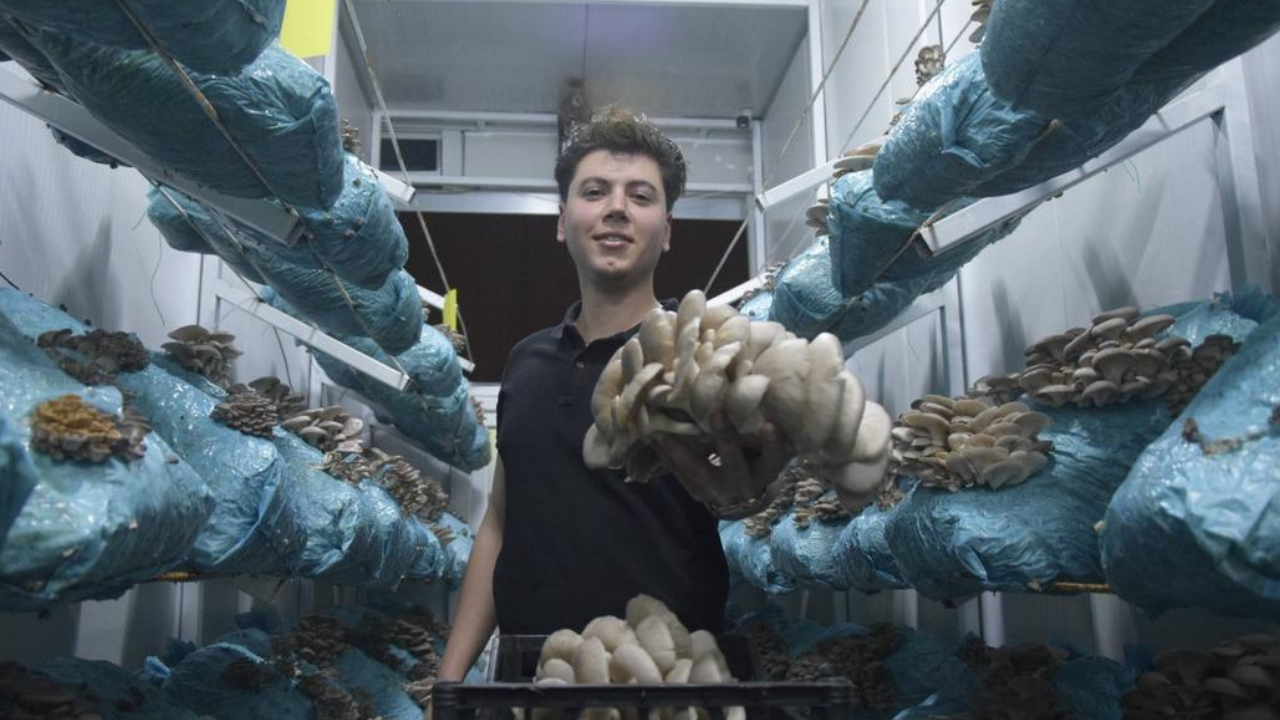 Antalya'da hobi olarak başladı! Günde 1 ton üretiyor