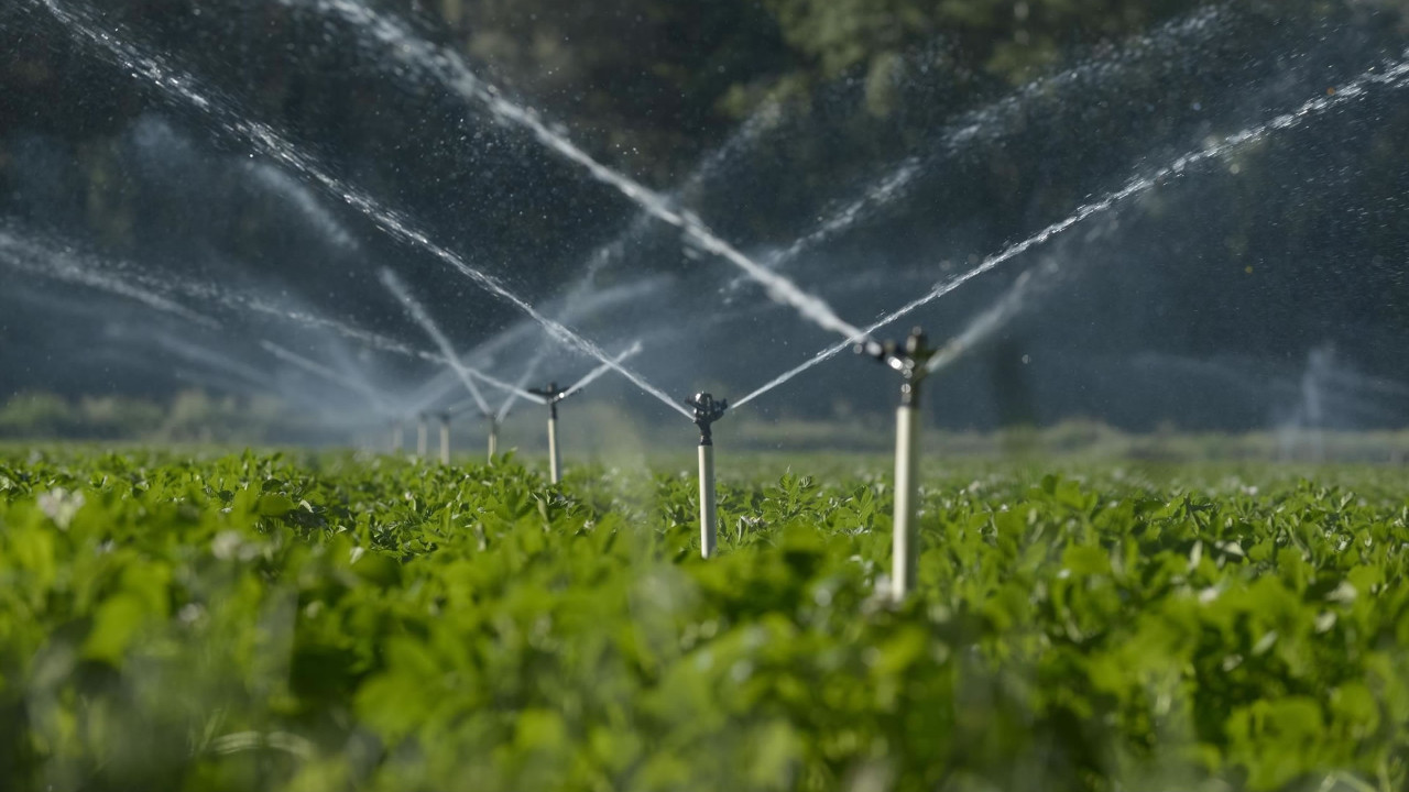 Altı bölgedeki üreticilerden hükümete uyarı: Zam yaparak gıda arzını koruyamazsınız