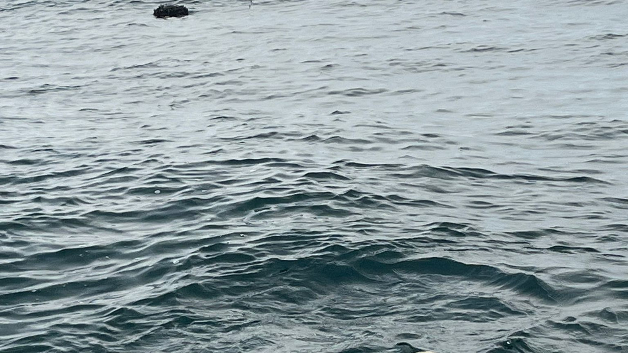 MSB'den İğneada açıklaması! Tespit edilen mayın imha edildi