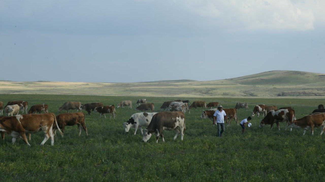 Tarım ve Orman Bakanlığı’ndan Kars’taki ‘mera yasağı’ iddialarına yanıt