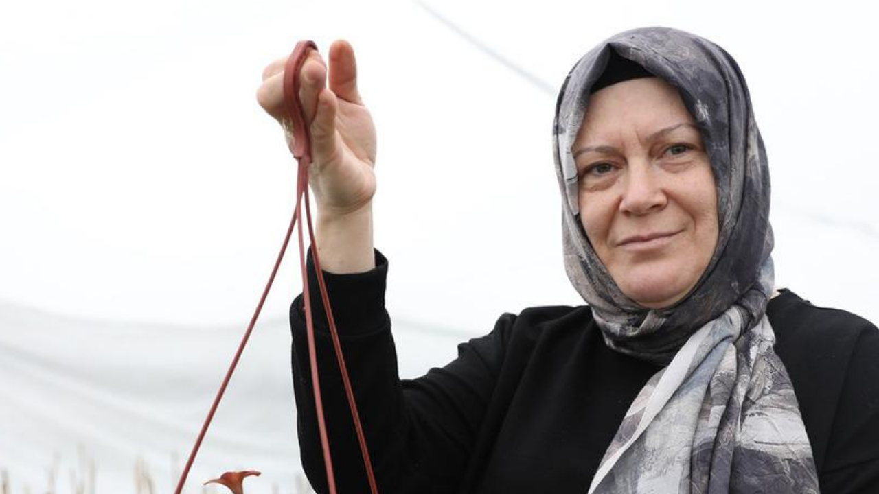 Ev hanımıydı bu işe başladı! Türkiye'nin her yerinden yoğun talep var