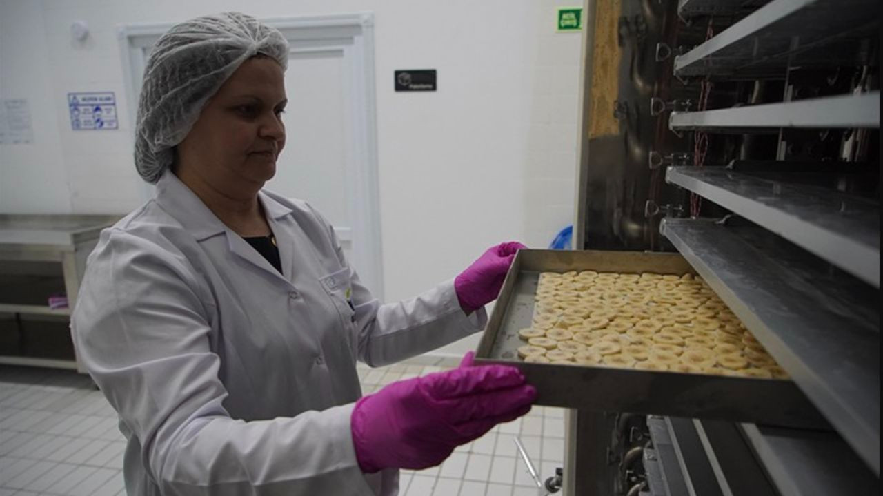 Trakya'da üretiliyor: Yurt dışına gönderiliyor