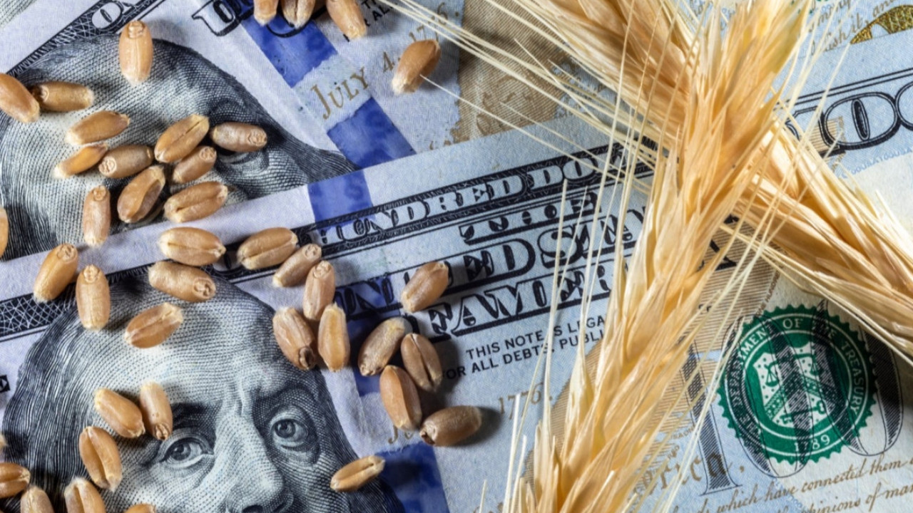 UEA, IMF ve Dünya Bankası uyardı: Emtia fiyatları yüksek kalacak